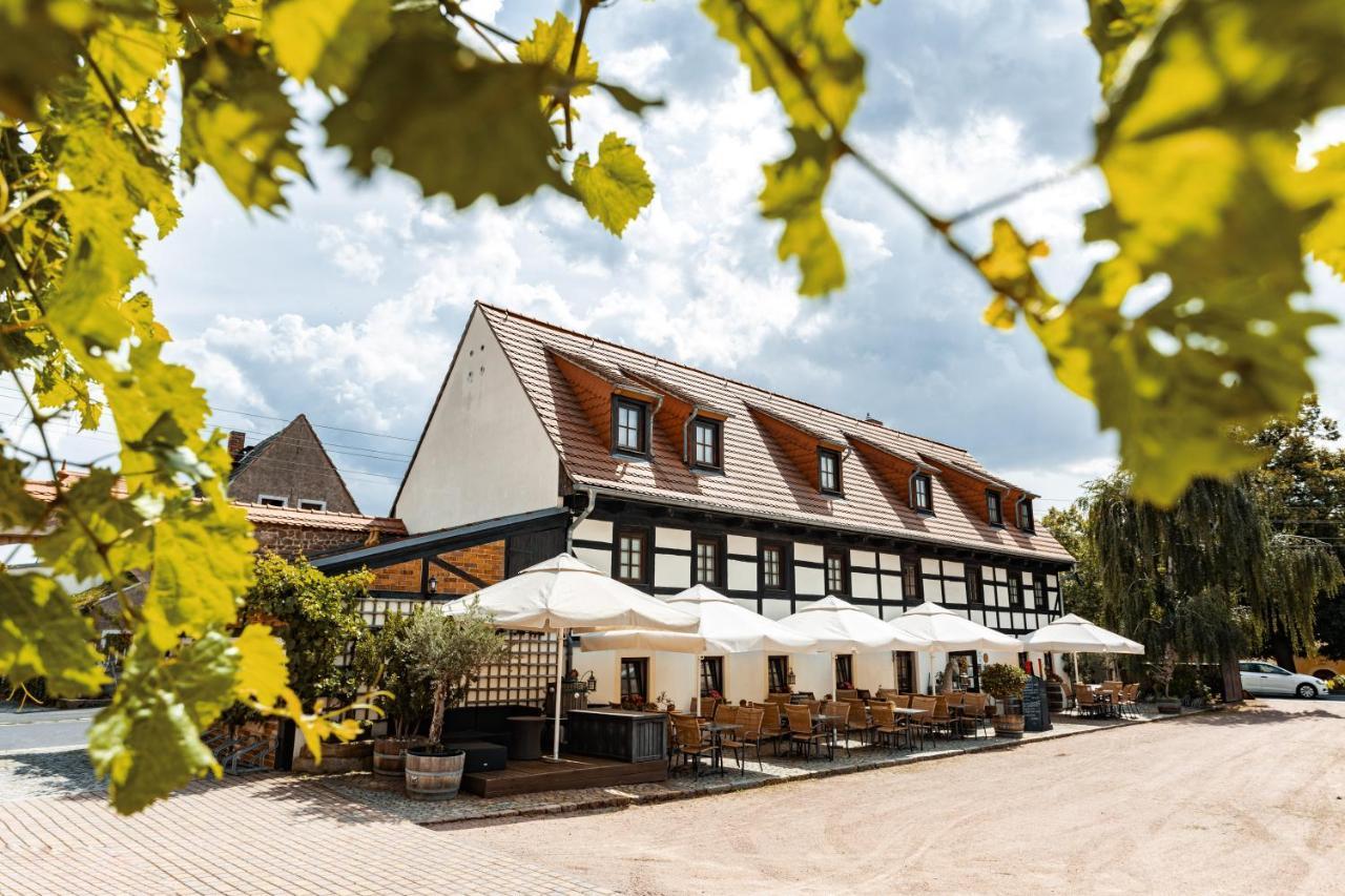 Weingut Schuh - Pension Zur Bosel Coswig  Exterior foto